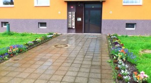 zahony_sportovni